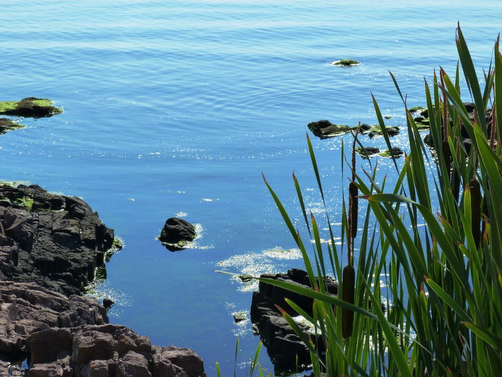 Sea View Apartments โซโซโปล ภายนอก รูปภาพ